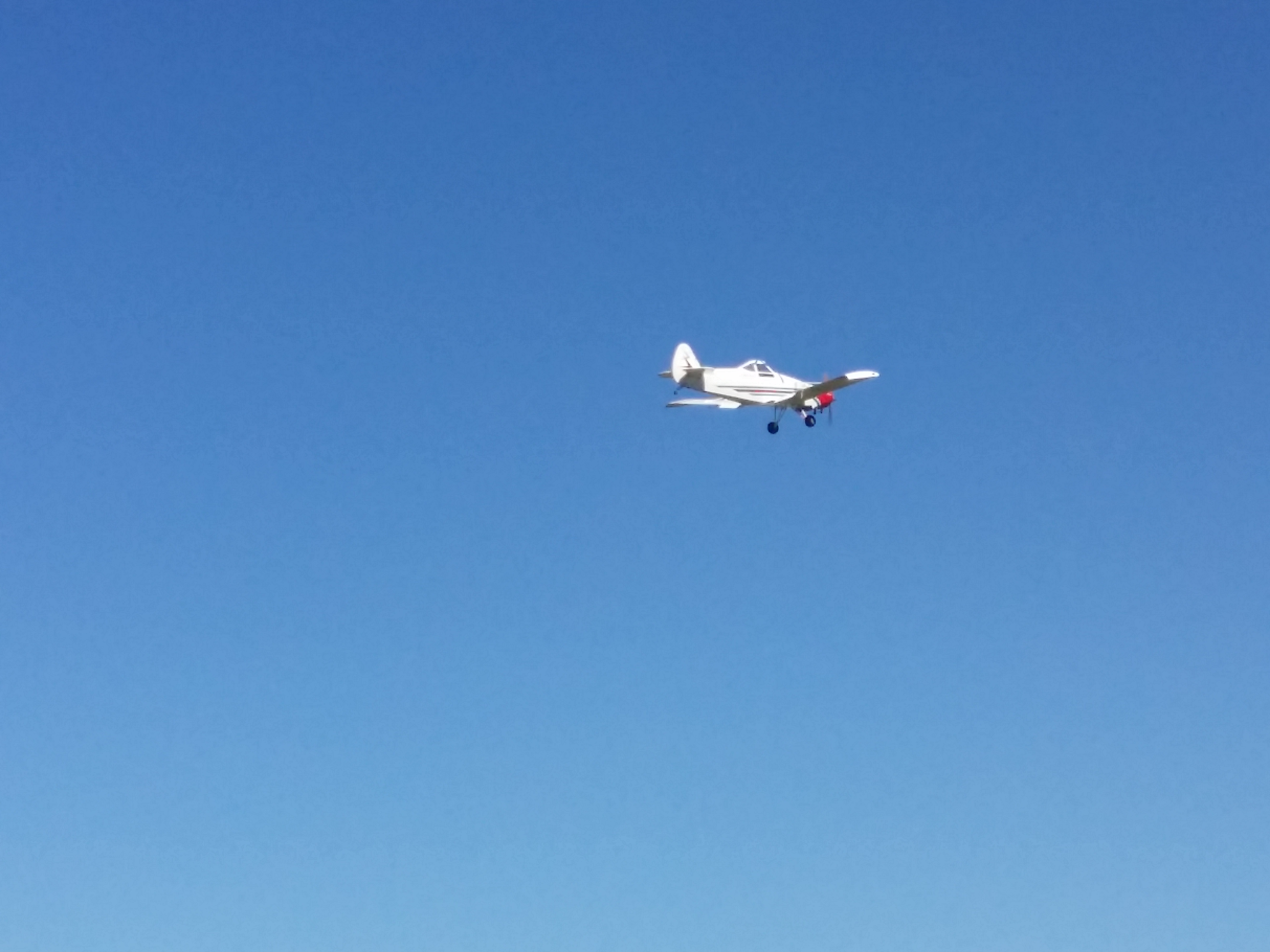 2015-Picnic-20150920_122101.jpg