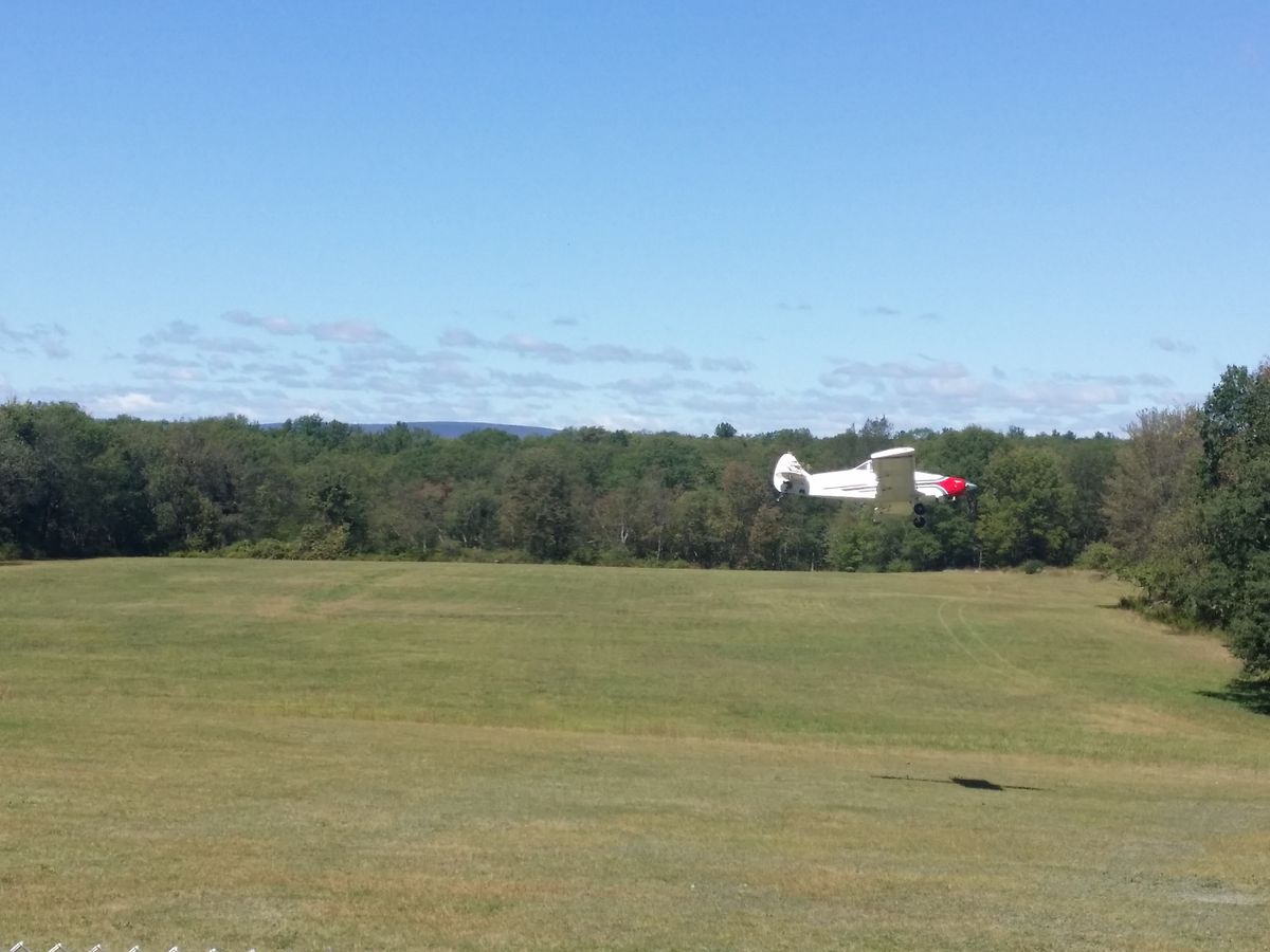 2015-Picnic-20150920_122314_1.jpg